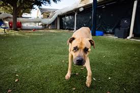 Lena's story is a touching example of ho...