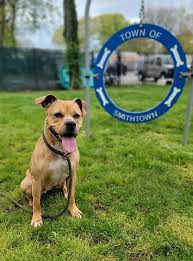 Extra image from article