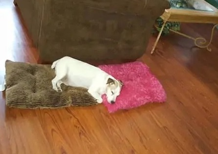 Extra image from article