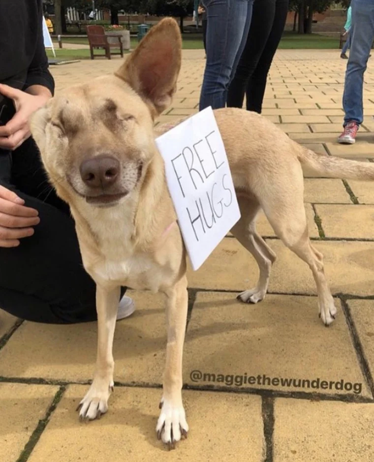 Extra image from article