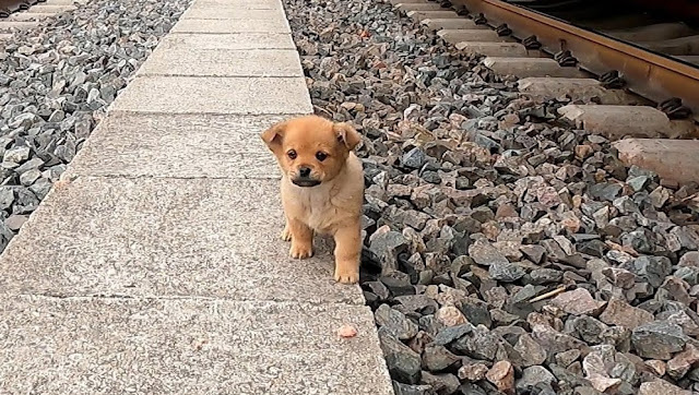 Although the journey to complete trust i...