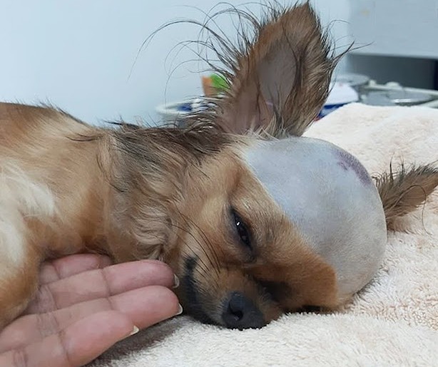 Amazingly, even after experiencing such ...