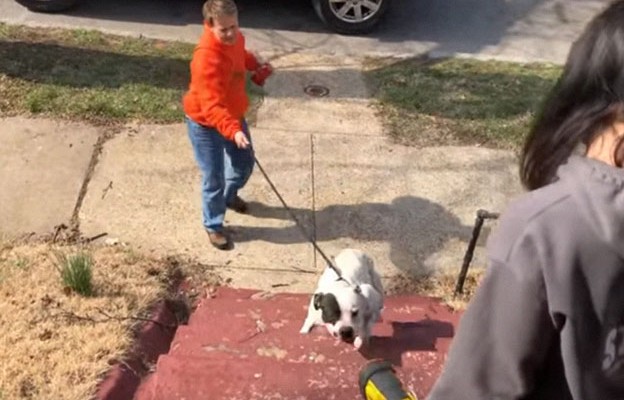 You can watch Leaping Bean's heartwarmin...