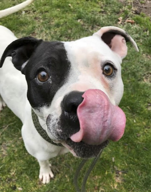 Extra image from article