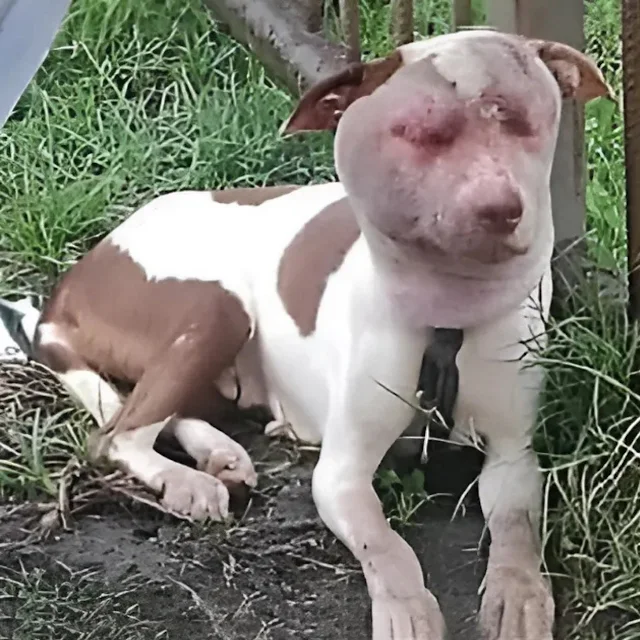 Fortune changed her path when a kind-hea...