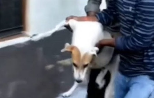 What worried the rescuers most was her i...