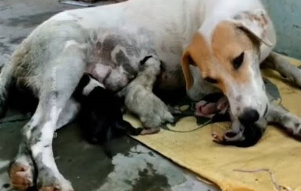 Her inspiring story quickly spread throu...