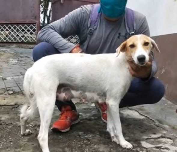 Extra image from article