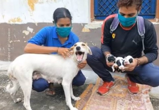 Extra image from article