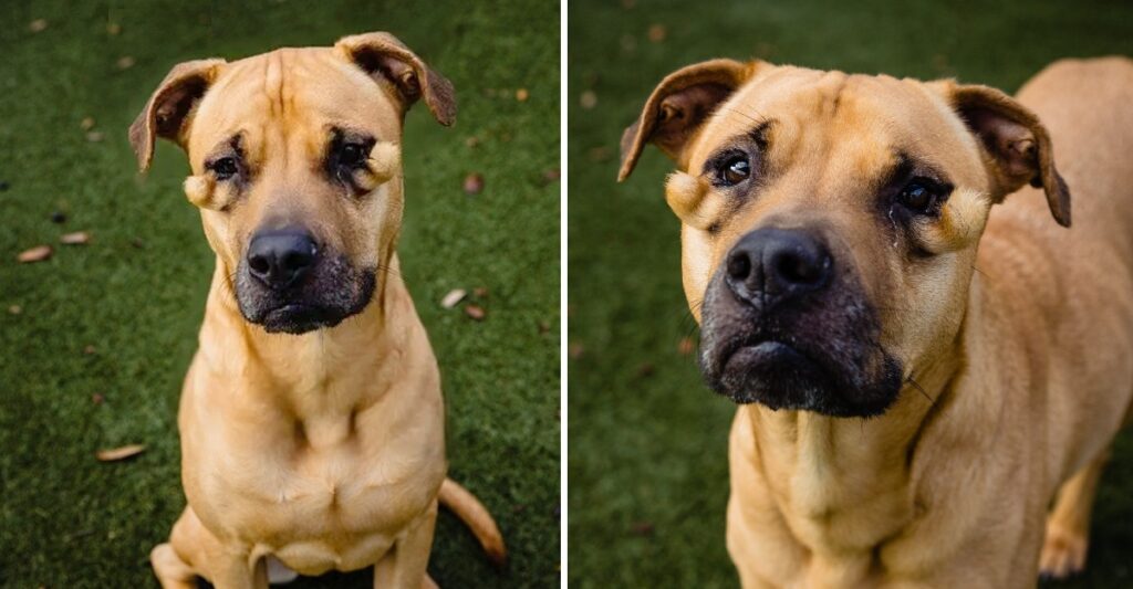 Lena's journey began under unfortunate c...