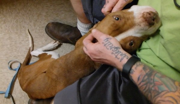 Extra image from article