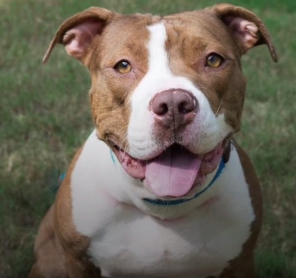 Extra image from article