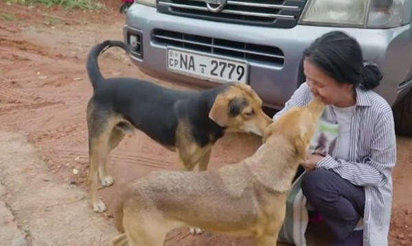 Extra image from article