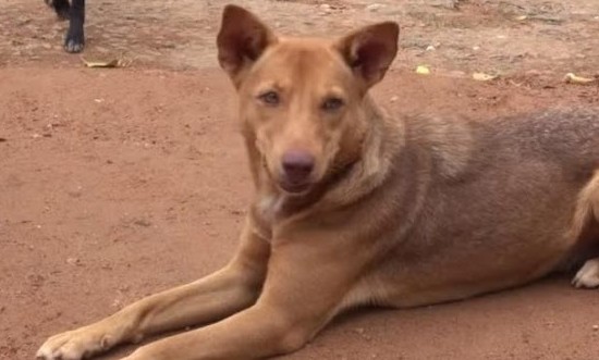 Extra image from article