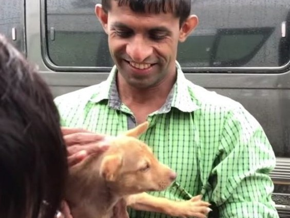 Extra image from article