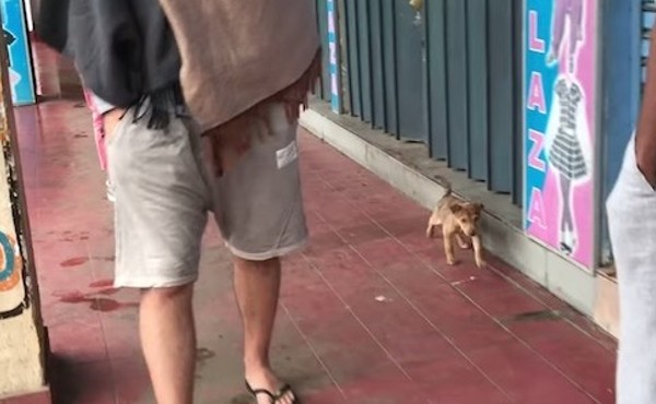 Lek Lek's remarkable transformation is a...