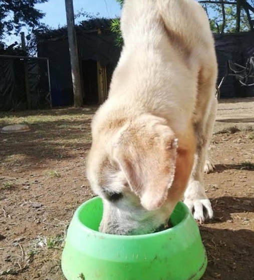 Extra image from article