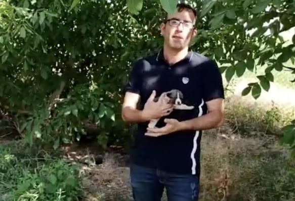 Extra image from article