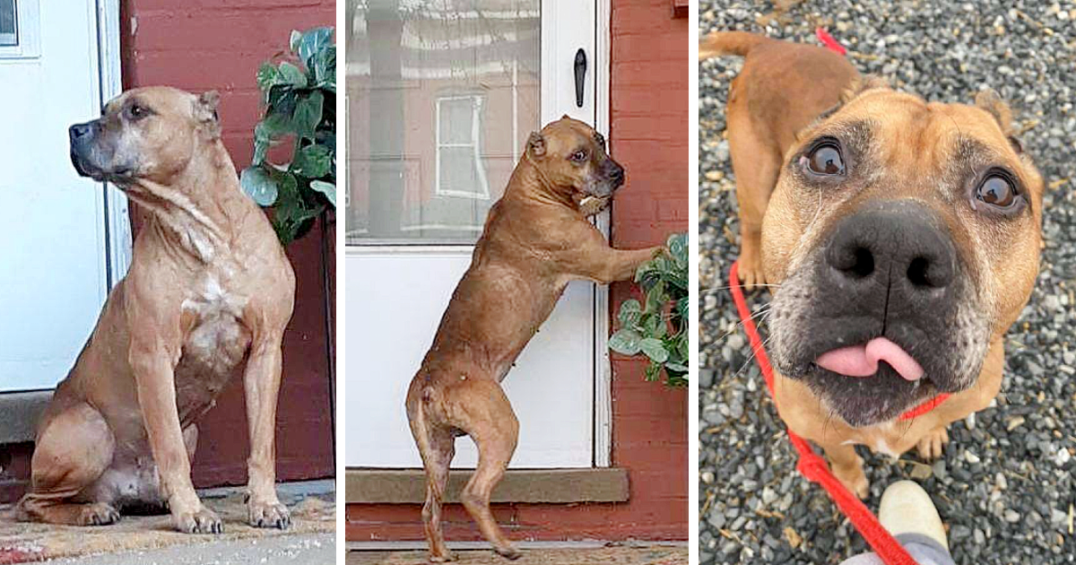 Concerned neighbors in Harrisburg, Penns...