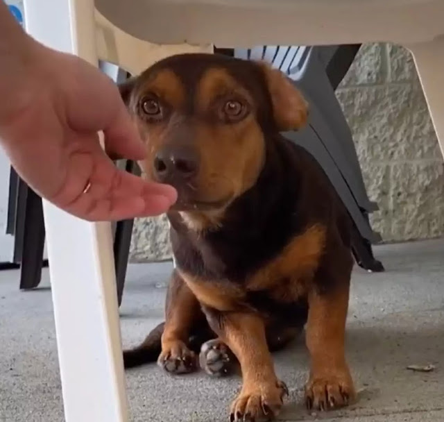 Once there, Erwin gave Robbie time and s...