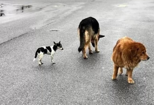 Soon, Clarence will make the journey fro...