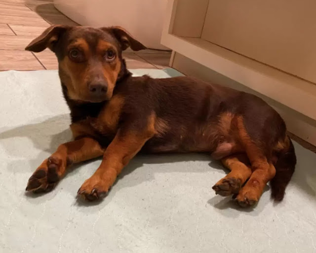 Extra image from article