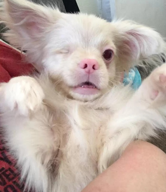 Extra image from article