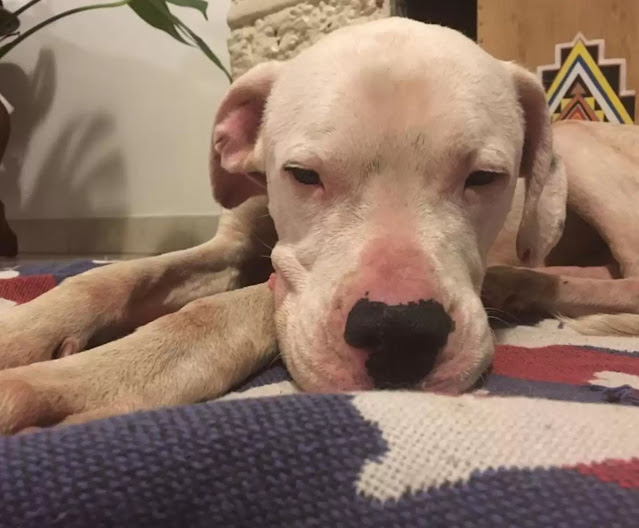 Extra image from article