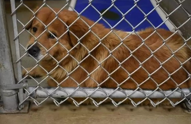 Extra image from article