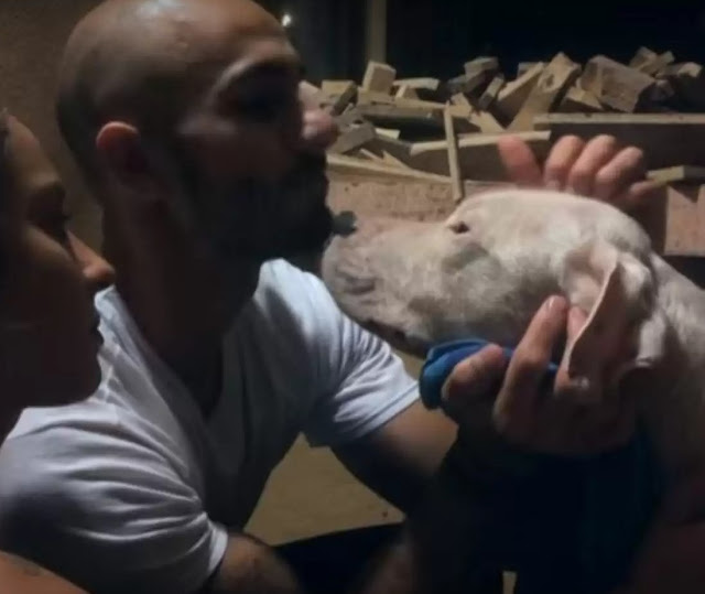 Extra image from article