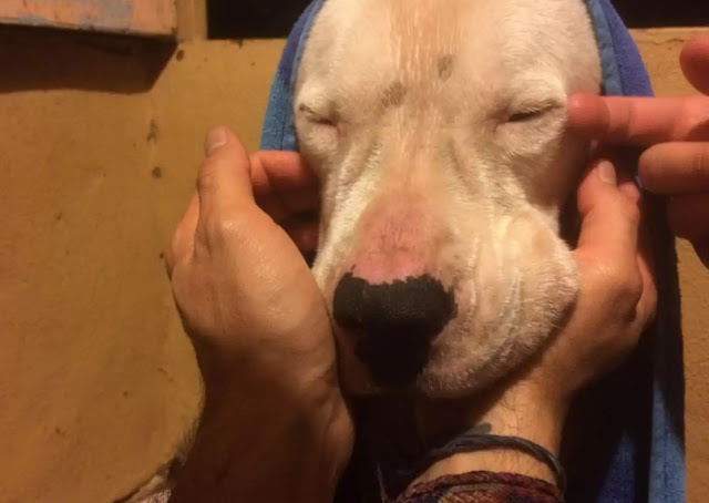 Extra image from article