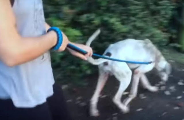 That day marked the beginning of a brigh...