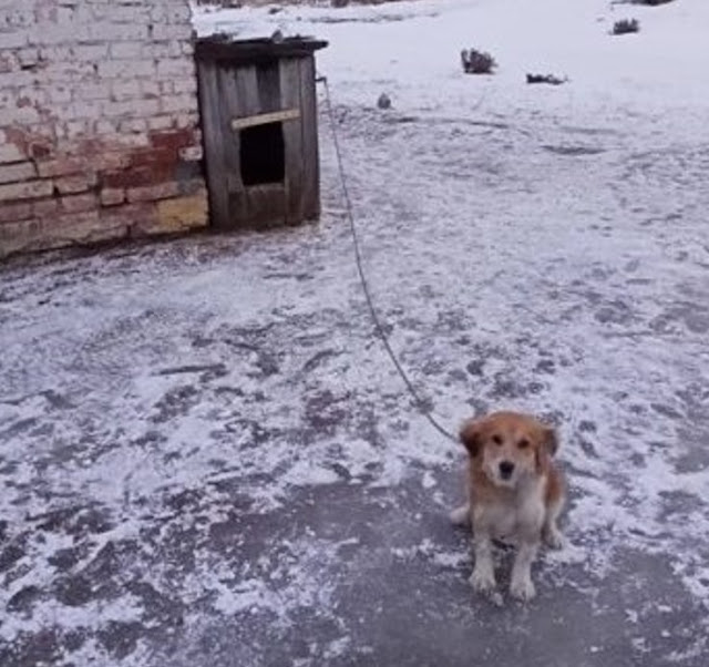 Showing unwavering commitment, the woman...