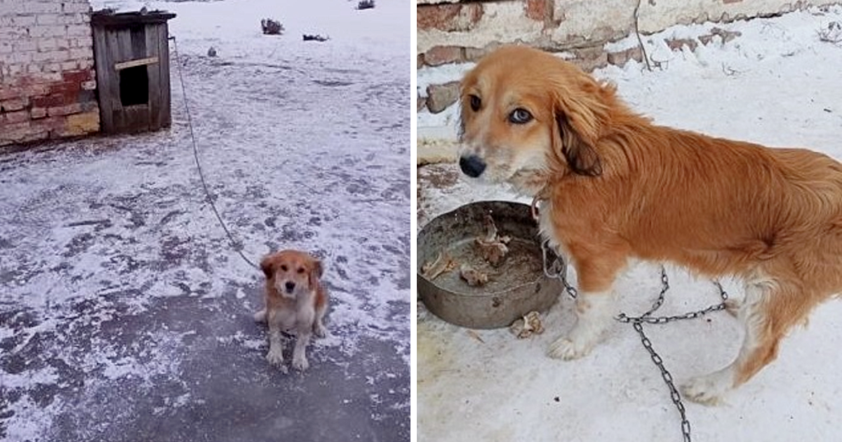 The scene was set near an old gatehouse,...