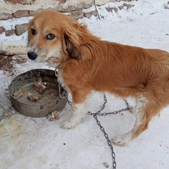 Despite his tough start, Thomas showed a...