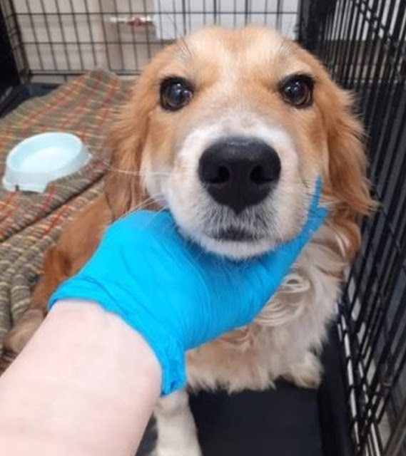 Extra image from article