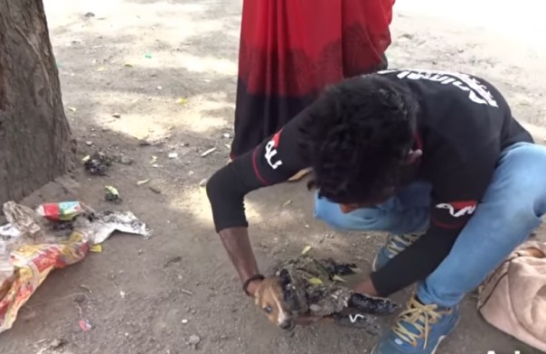 The team from Animal Aid Unlimited knew ...