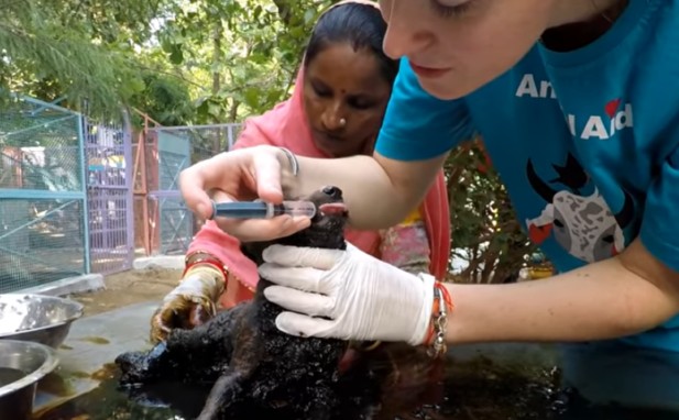 Extra image from article