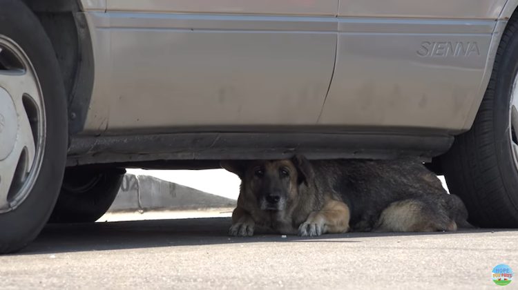 Amid life's challenges, tales of sufferi...