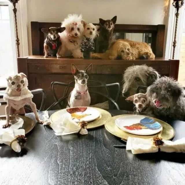 Greig’s routine starts early, at 5 am, a...