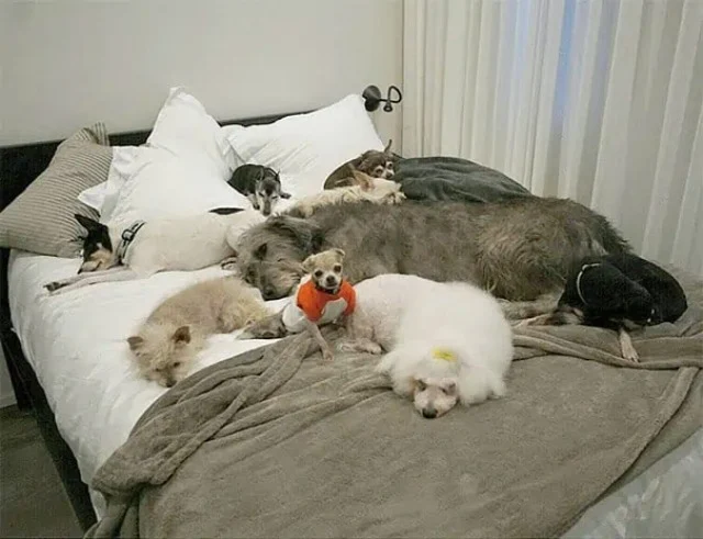 Extra image from article