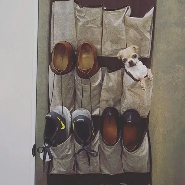 Extra image from article