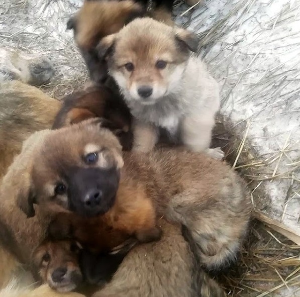 This heart-wrenching scene deeply affect...