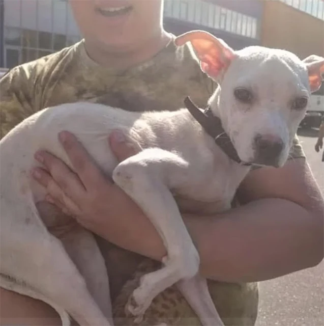 Kiss’s foster mother was filled with opt...