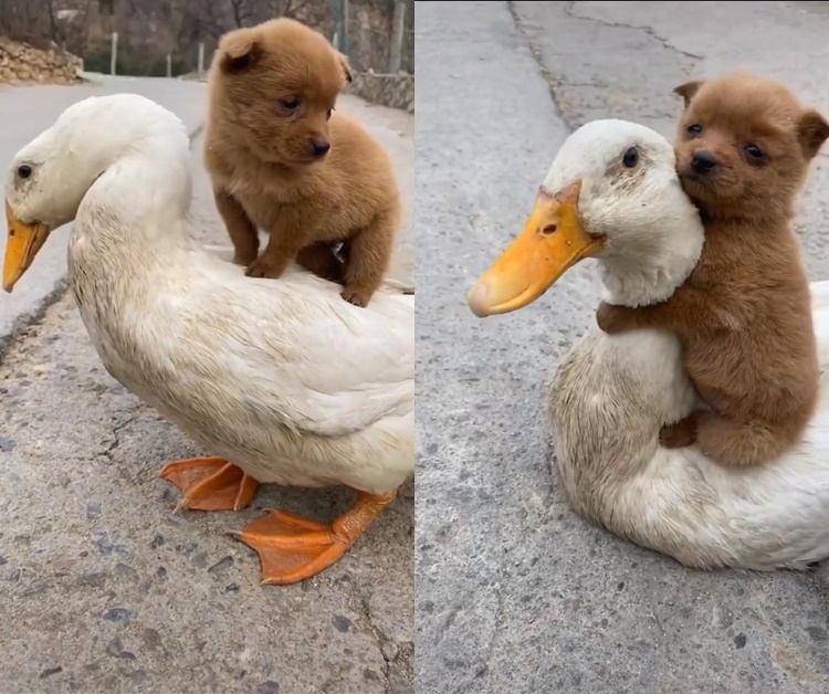 The scene sparked widespread discussion ...