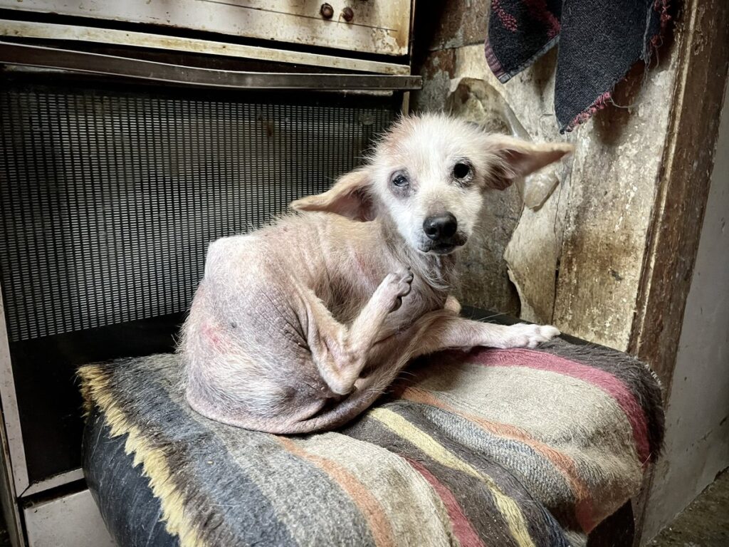 In a world that craves stories of love a...