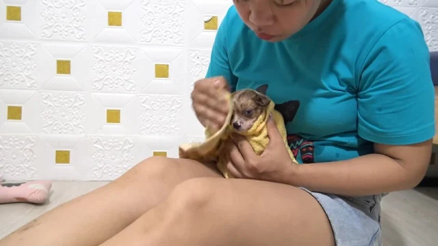 Extra image from article