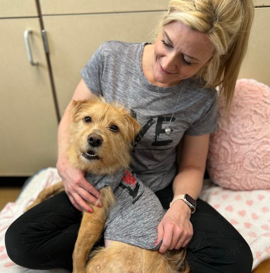 Extra image from article