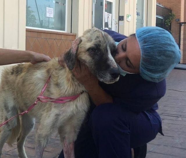 Extra image from article