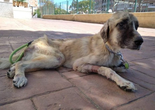 Extra image from article